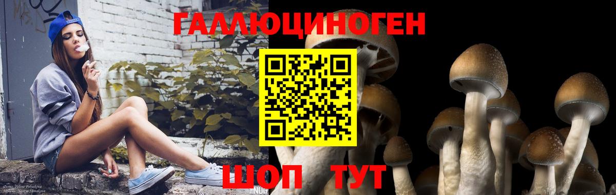 Галлюциногенные грибы прущие грибы  Вход с VPN  Псилоцибиновые грибы ЛСД  Клин 